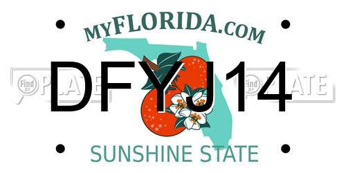 DFYJ14 Florida License Plate