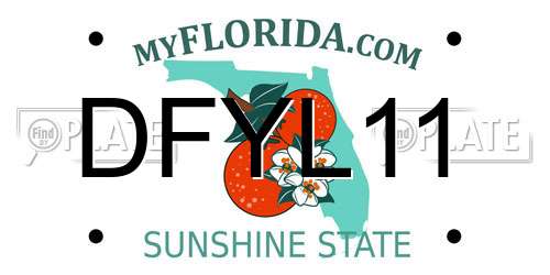 DFYL11 Florida License Plate
