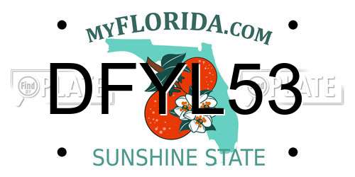 DFYL53 Florida License Plate