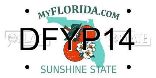 DFYP14 Florida License Plate