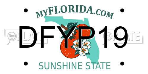 DFYP19 Florida License Plate