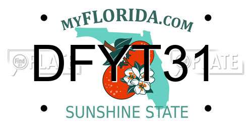 DFYT31 Florida License Plate