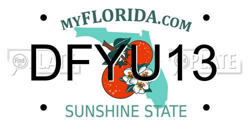 DFYU13 Florida License Plate