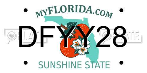 DFYY28 Florida License Plate