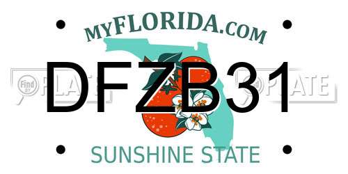 DFZB31 Florida License Plate