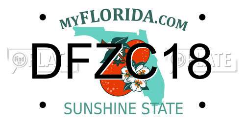 DFZC18 Florida License Plate
