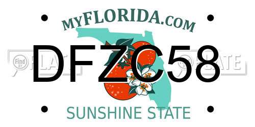 DFZC58 Florida License Plate