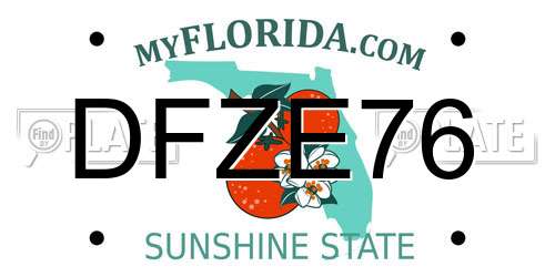 DFZE76 Florida License Plate