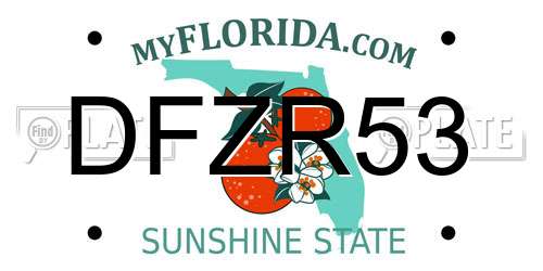 DFZR53 Florida License Plate