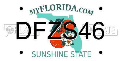 DFZS46 Florida License Plate
