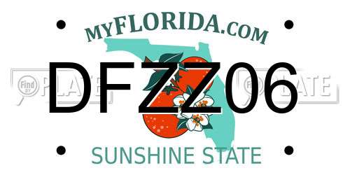 DFZZ06 Florida License Plate