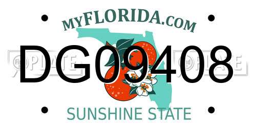 DG09408 Florida License Plate
