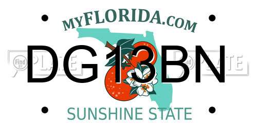 DG13BN Florida License Plate