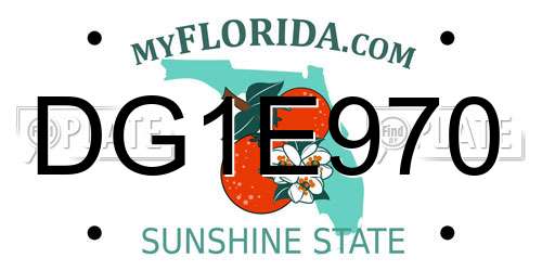 DG1E970 Florida License Plate