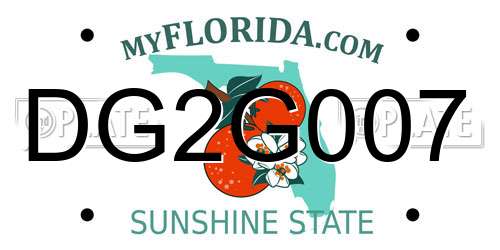 DG2G007 Florida License Plate