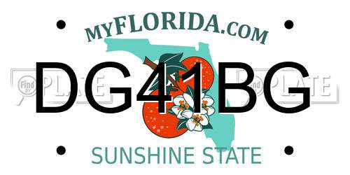 DG41BG Florida License Plate