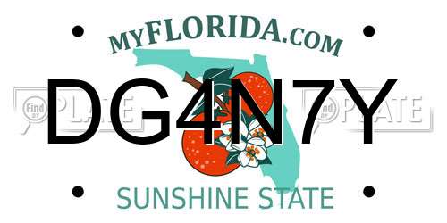 DG4N7Y Florida License Plate