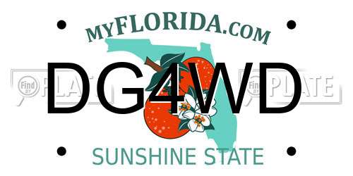 DG4WD Florida License Plate