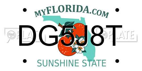 DG5J8T Florida License Plate