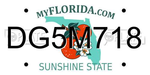 DG5M718 Florida License Plate