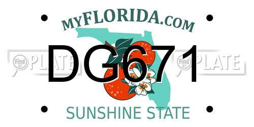 DG671 Florida License Plate