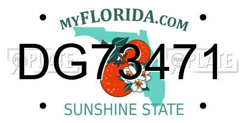 DG73471 Florida License Plate