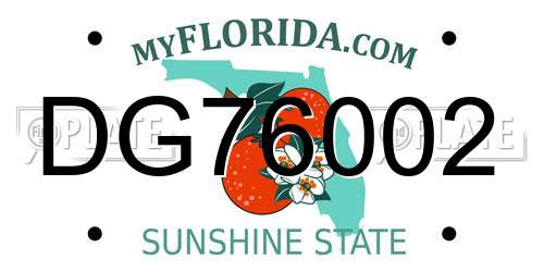DG76002 Florida License Plate