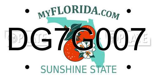 DG7G007 Florida License Plate