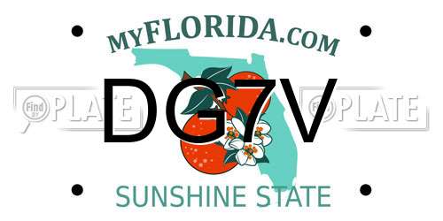 DG7V Florida License Plate