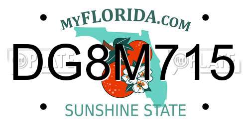 DG8M715 Florida License Plate