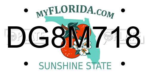 DG8M718 Florida License Plate