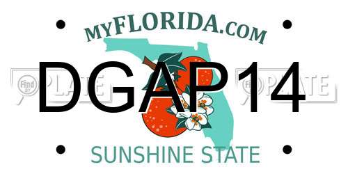 DGAP14 Florida License Plate