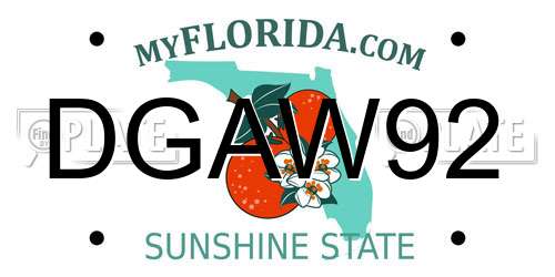 DGAW92 Florida License Plate