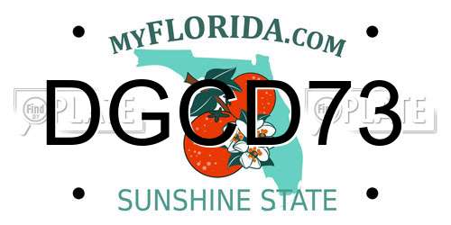 DGCD73 Florida License Plate