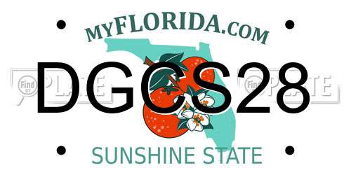 DGCS28 Florida License Plate