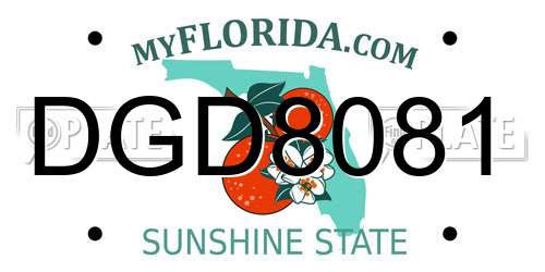 DGD8081 Florida License Plate