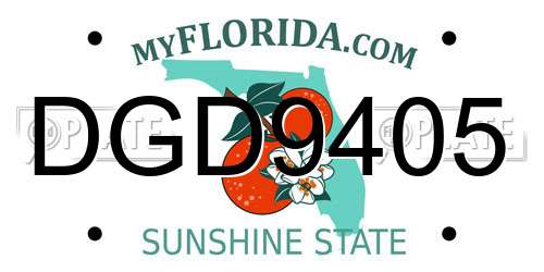DGD9405 Florida License Plate