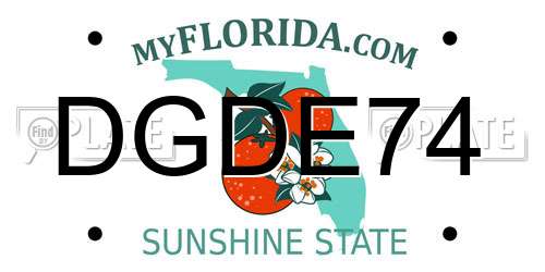 DGDE74 Florida License Plate