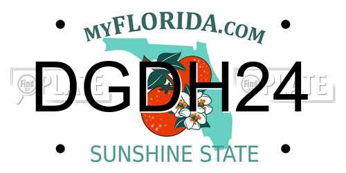 DGDH24 Florida License Plate