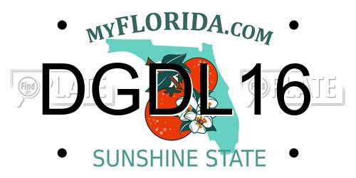 DGDL16 Florida License Plate