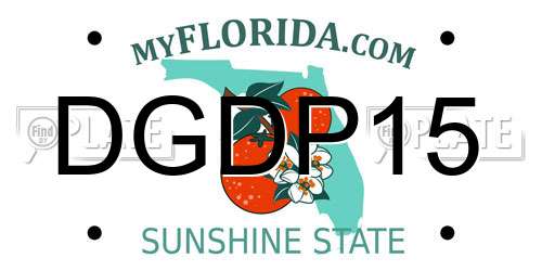 DGDP15 Florida License Plate