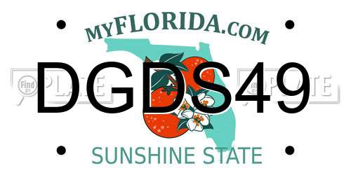 DGDS49 Florida License Plate