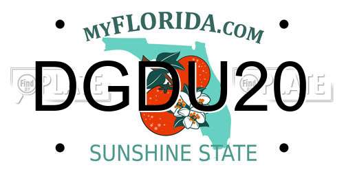 DGDU20 Florida License Plate