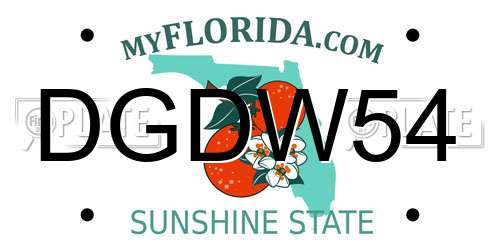 DGDW54 Florida License Plate