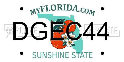 DGEC44 Florida License Plate