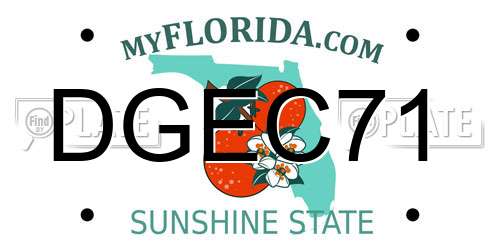 DGEC71 Florida License Plate