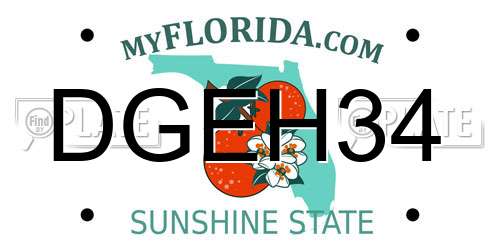DGEH34 Florida License Plate