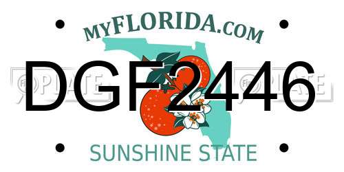 DGF2446 Florida License Plate