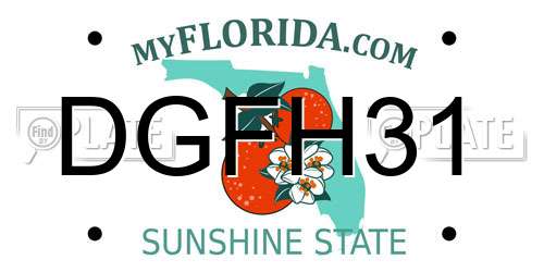 DGFH31 Florida License Plate