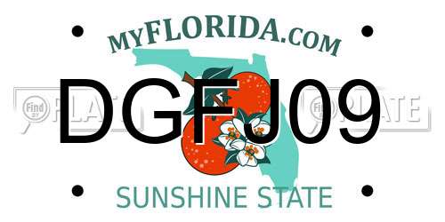 DGFJ09 Florida License Plate